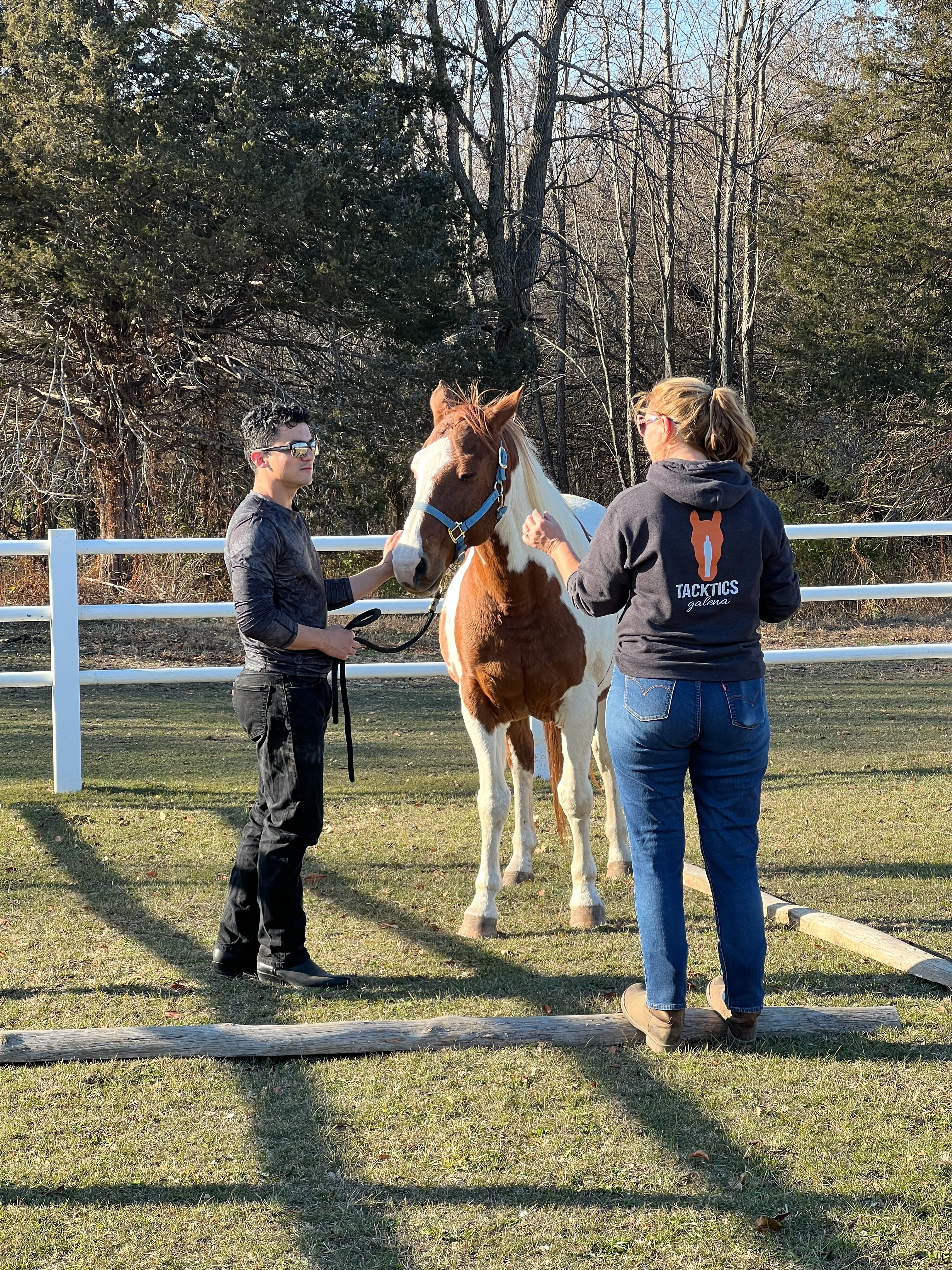 Team Building Foundations: Equine Workshop image #3