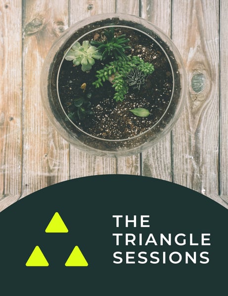 The Triangle Sessions: Build-A-Terrarium