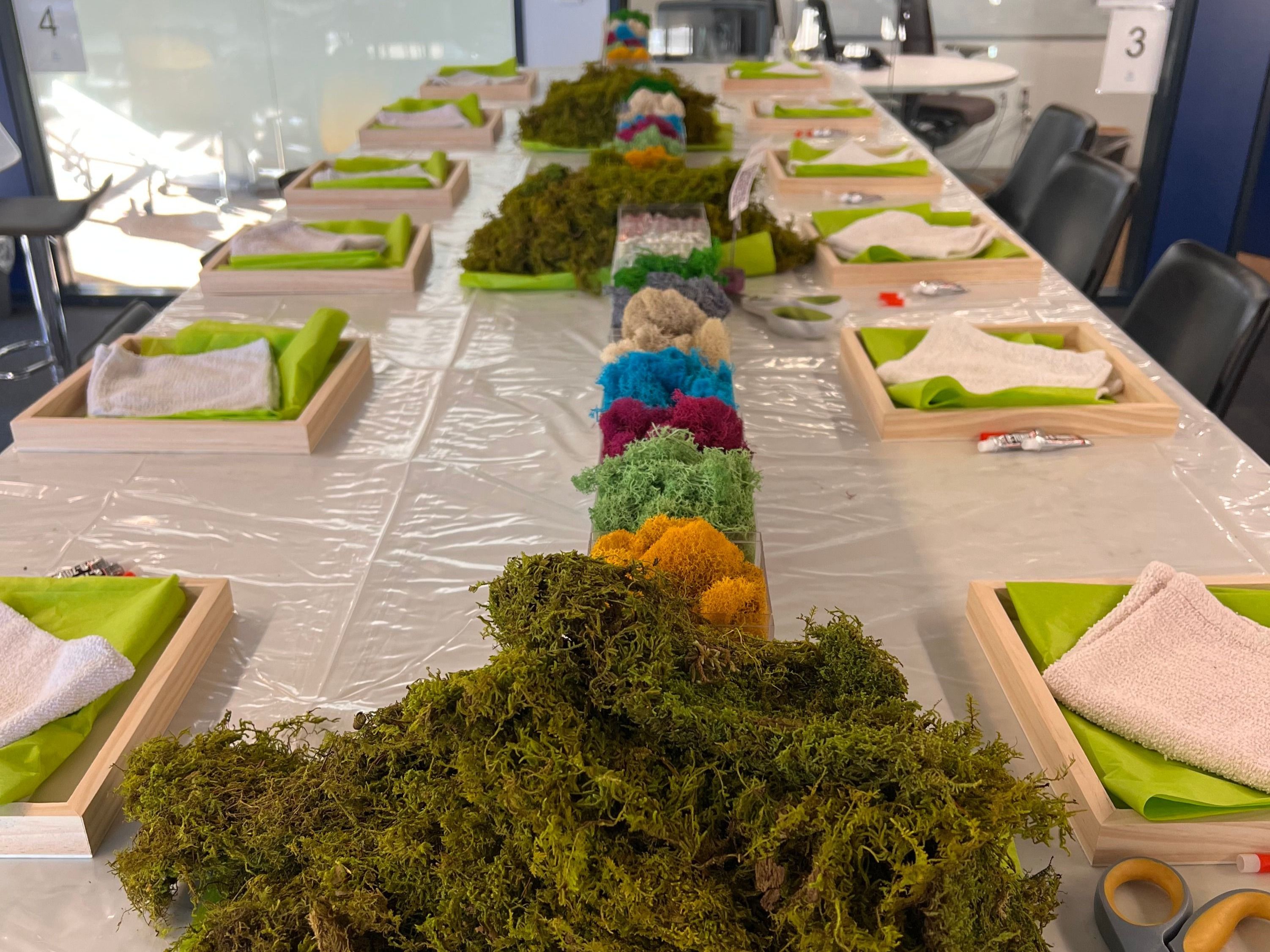 Creative Moss Wall Art Design Workshop San Francisco image