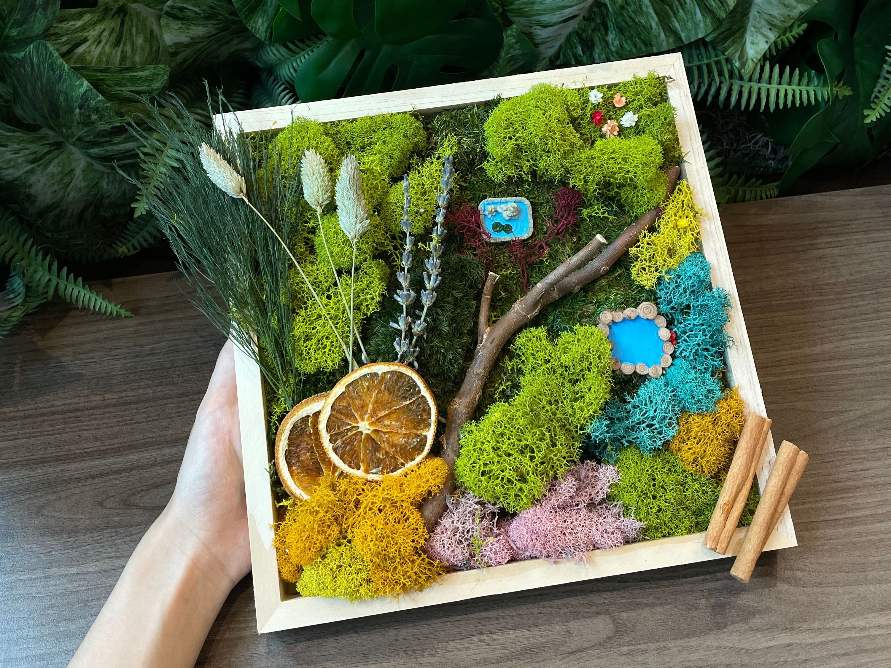 Creative Moss Wall Art Design Workshop San Francisco image #2