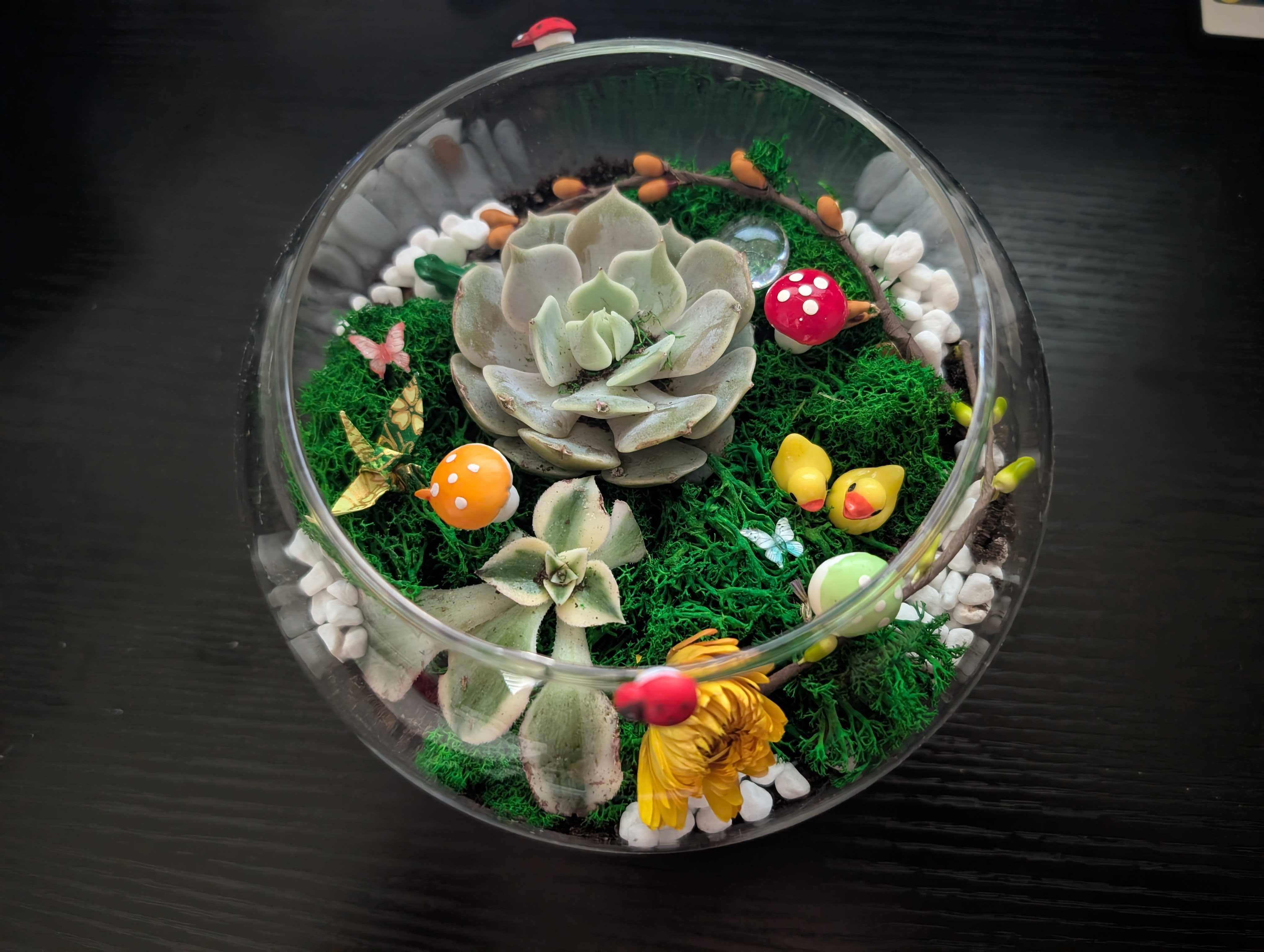 Virtual Succulent Terrarium Workshop image #2