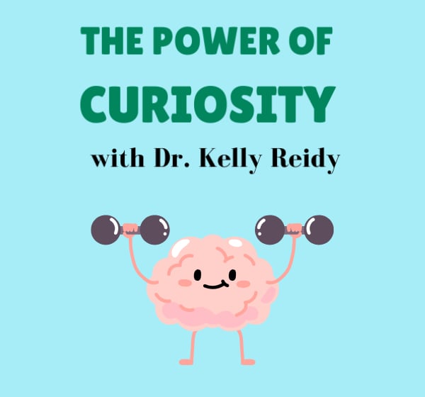 The Power of Curiosity: An Exploratory Virtual Workshop