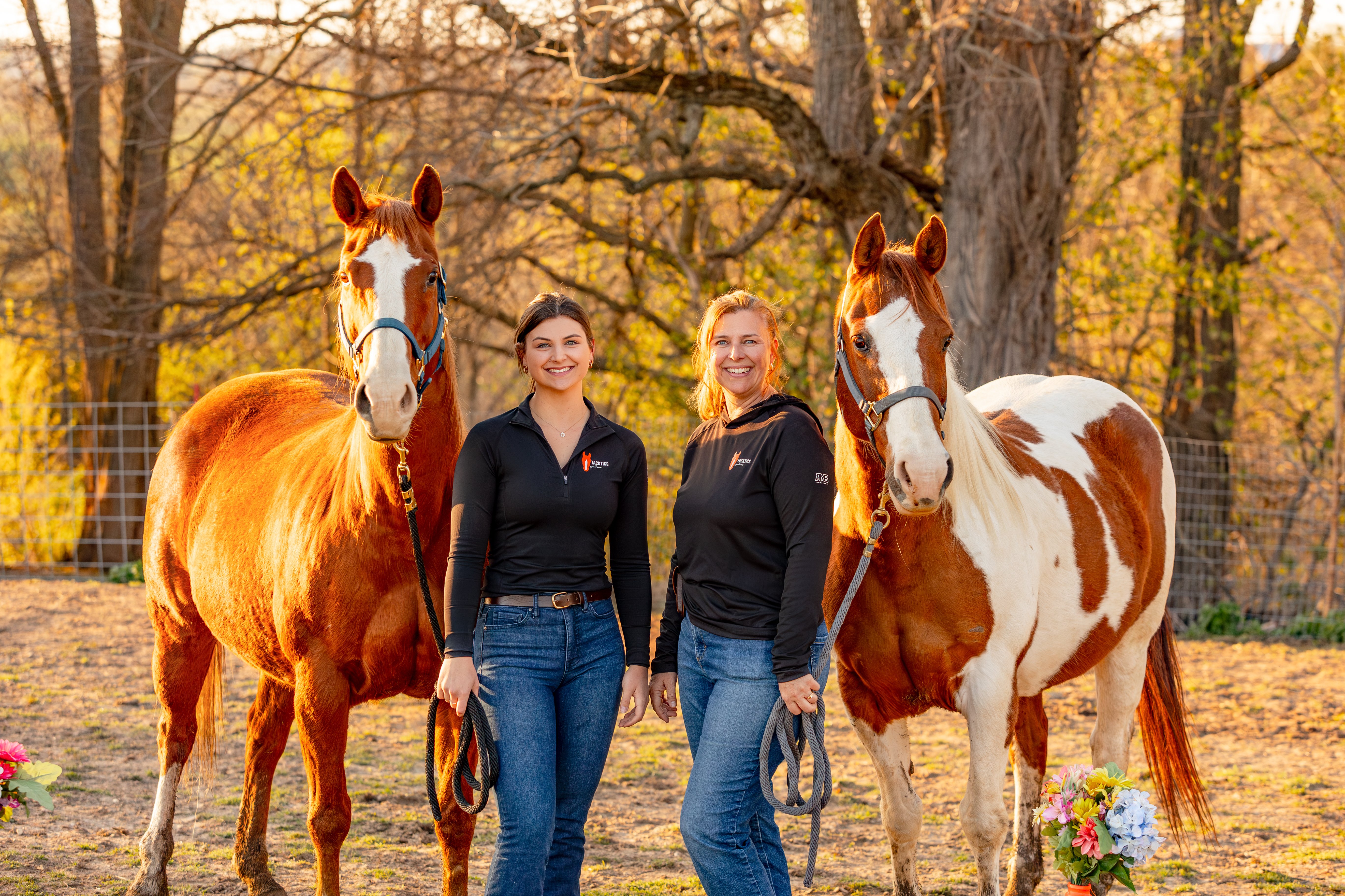 Team Building Foundations: Equine Workshop