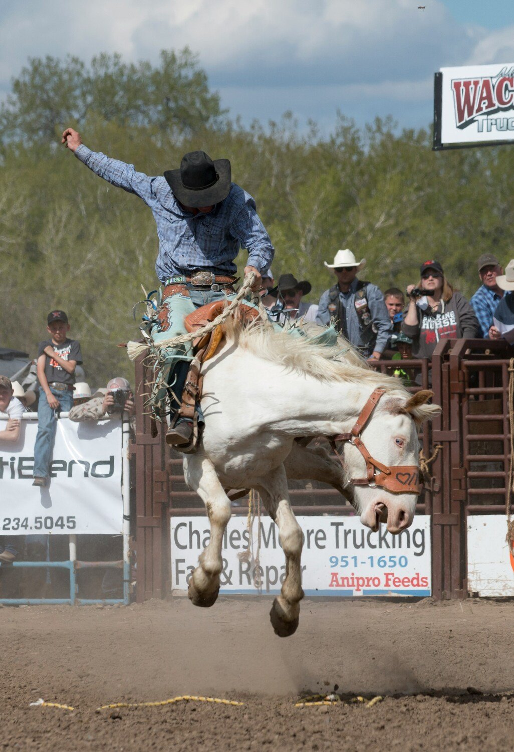 Dallas Culture Ultimate Game Show image #3