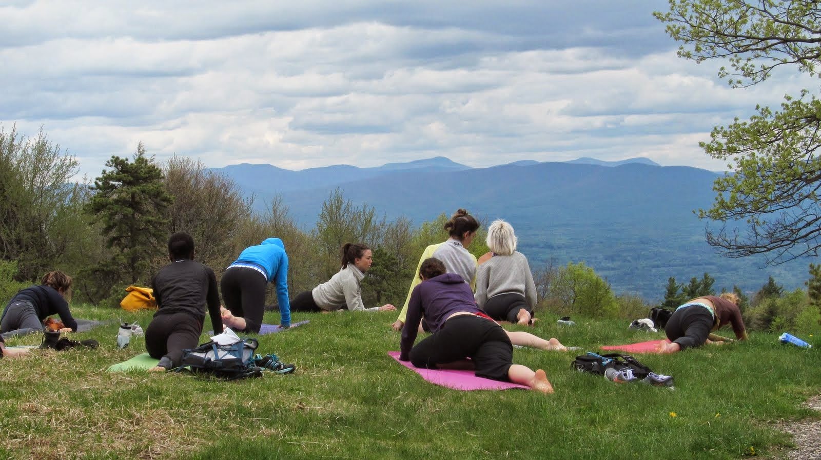 Forest Wellness Day: Mindful Team Hike image #3