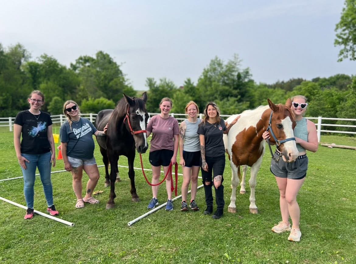 Team Building Foundations: Equine Workshop image