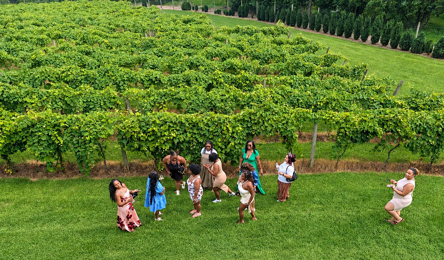 Virginia Wine Country Tour & Tasting Challenge