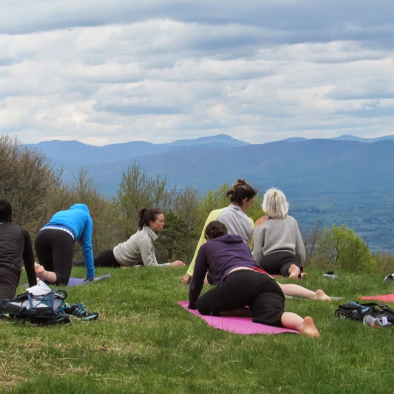 Forest Wellness Day: Mindful Team Hike