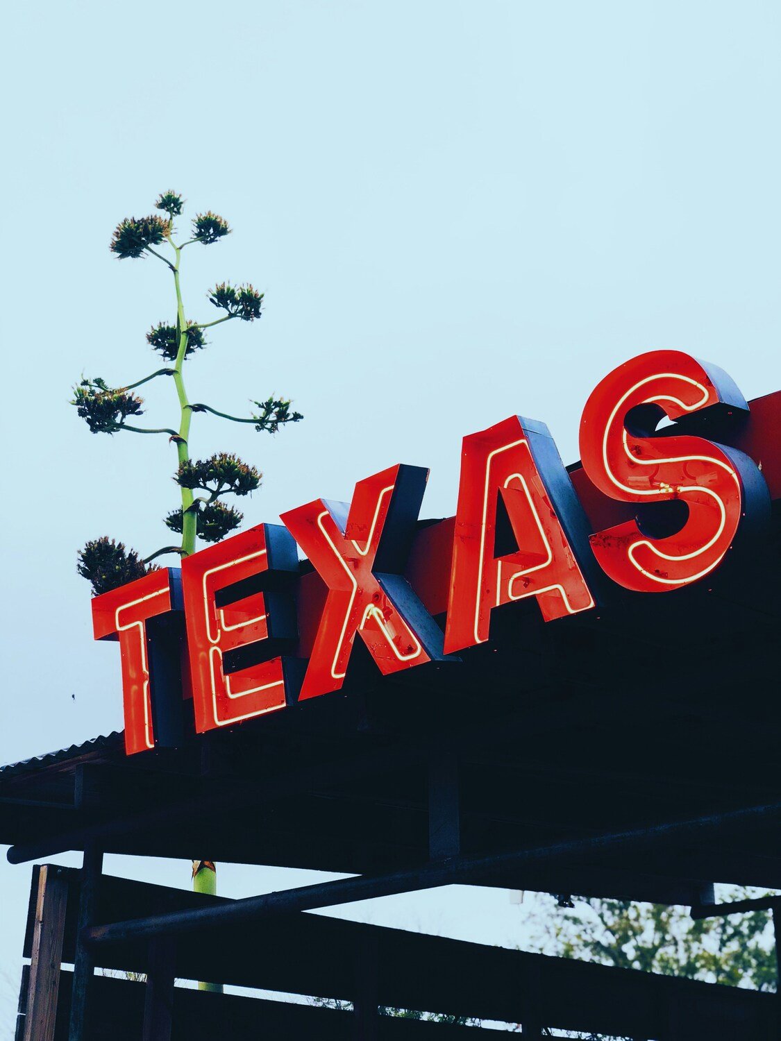 Austin Landmarks: The Art of Storytelling Workshop image #2