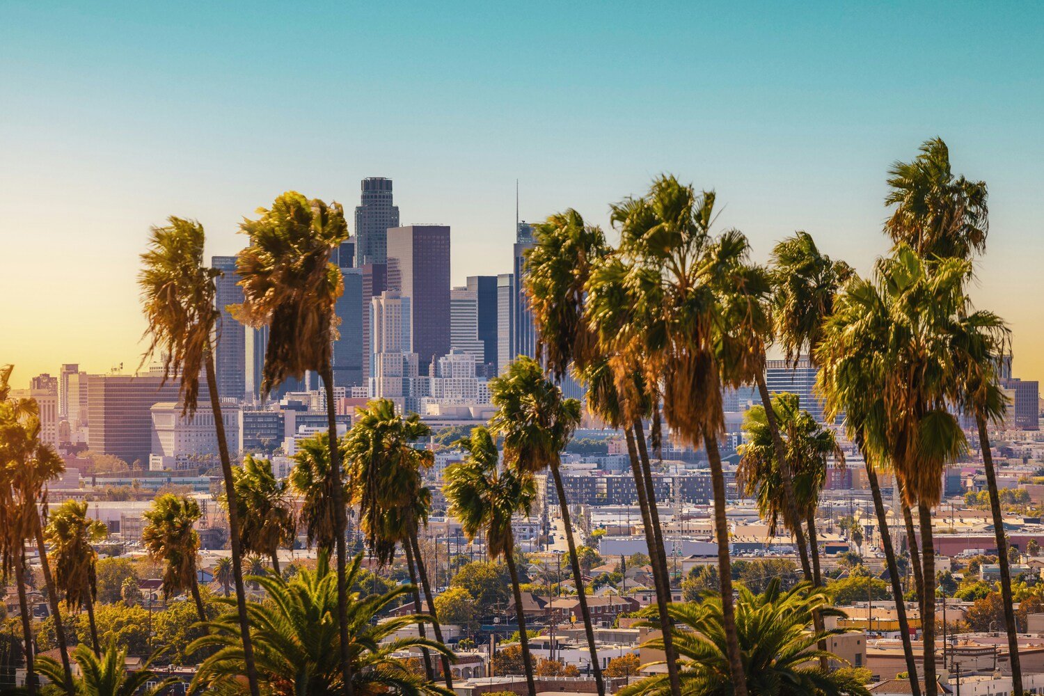 Ultimate Los Angeles Game Show image #2