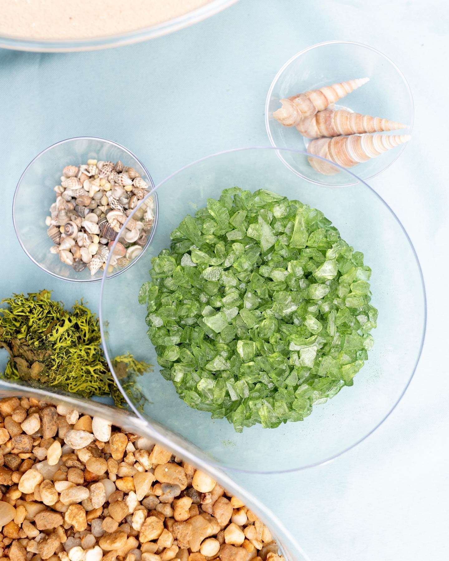 Unbox, Plant, Keep: A Live Succulent Terrarium Workshop image #2