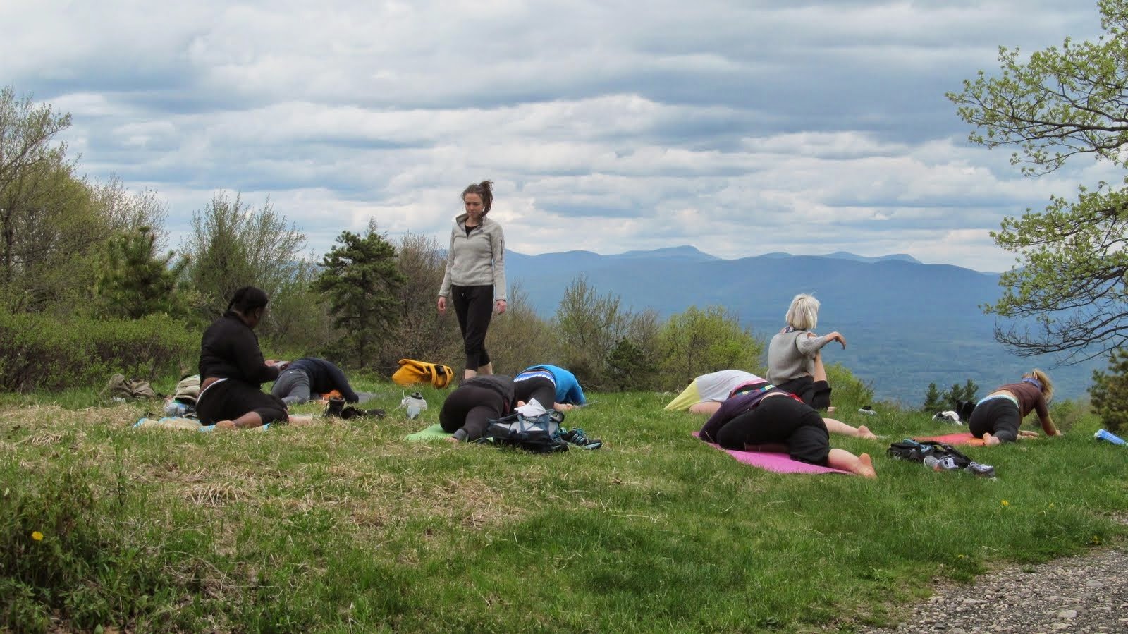 Forest Wellness Day: Mindful Team Hike photo 4