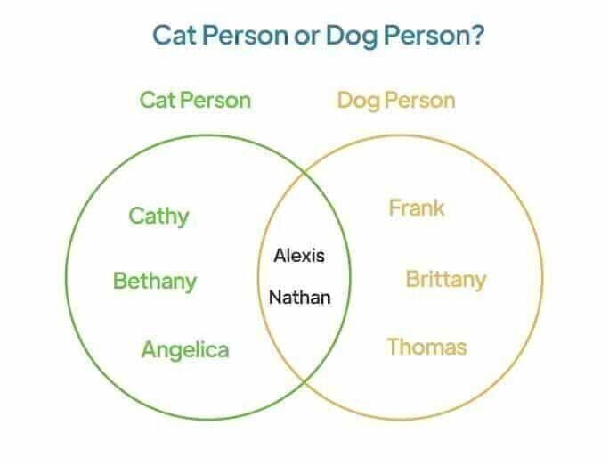 ven diagram mapping cat person vs dog person on team