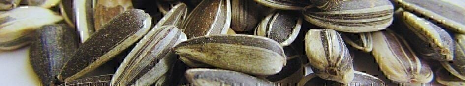 Sunflower Seeds