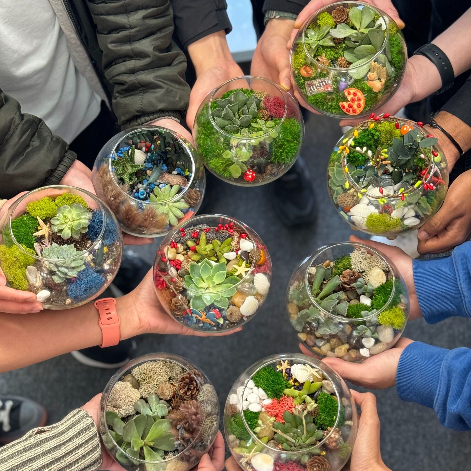 Virtual Succulent Terrarium Workshop image