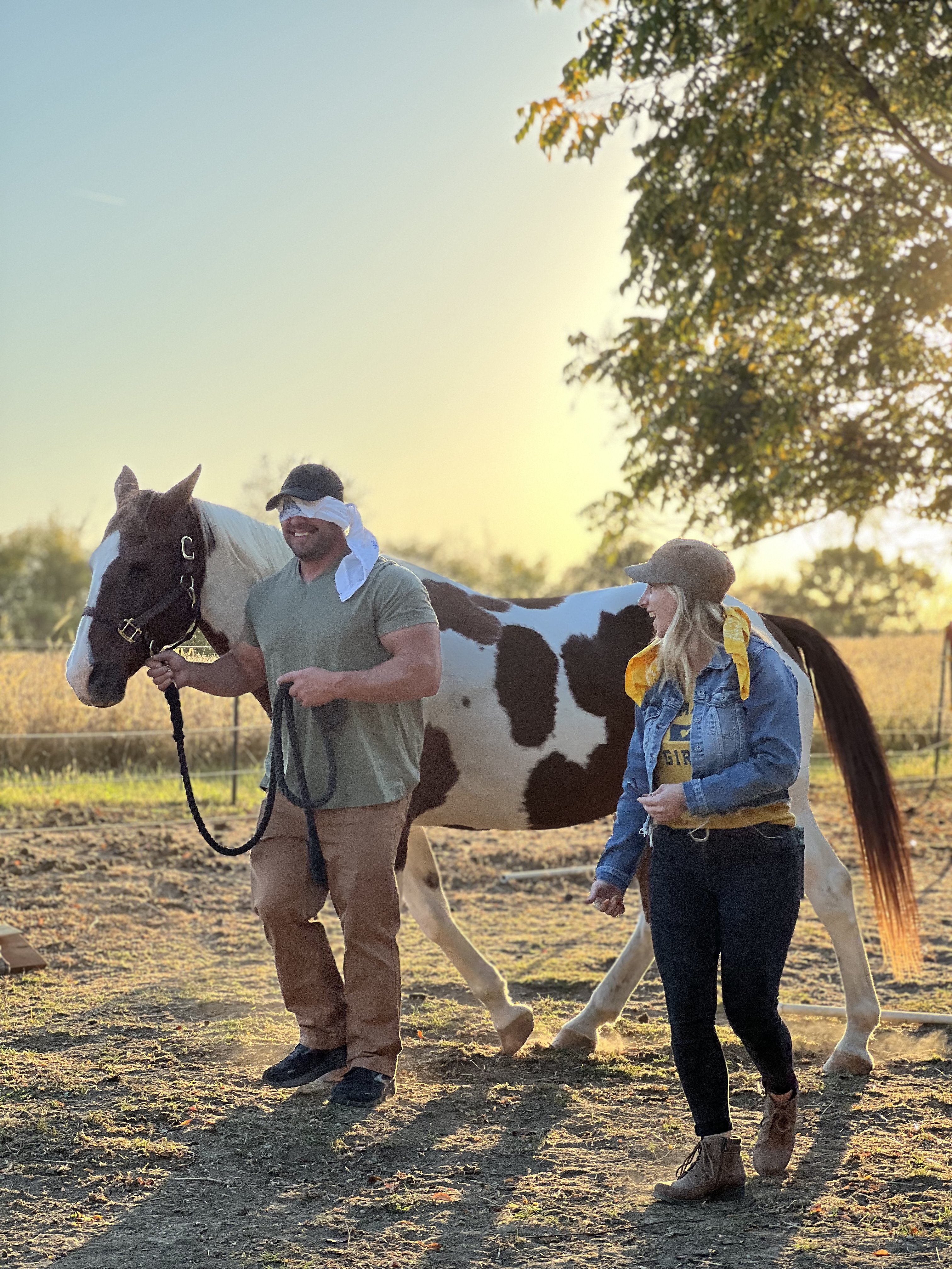Team Building Foundations: Equine Workshop image