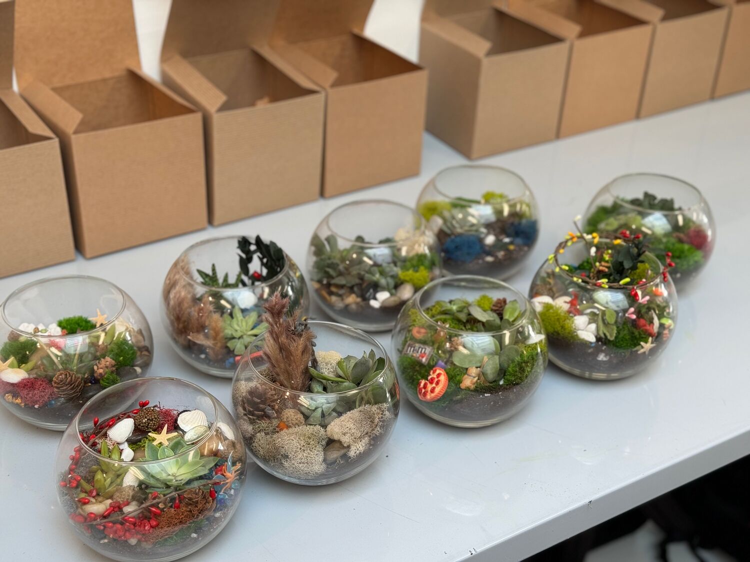 Succulent Terrarium Workshop NYC image