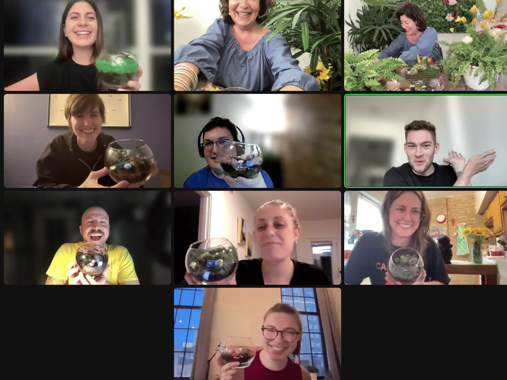 Virtual Succulent Terrarium Workshop image