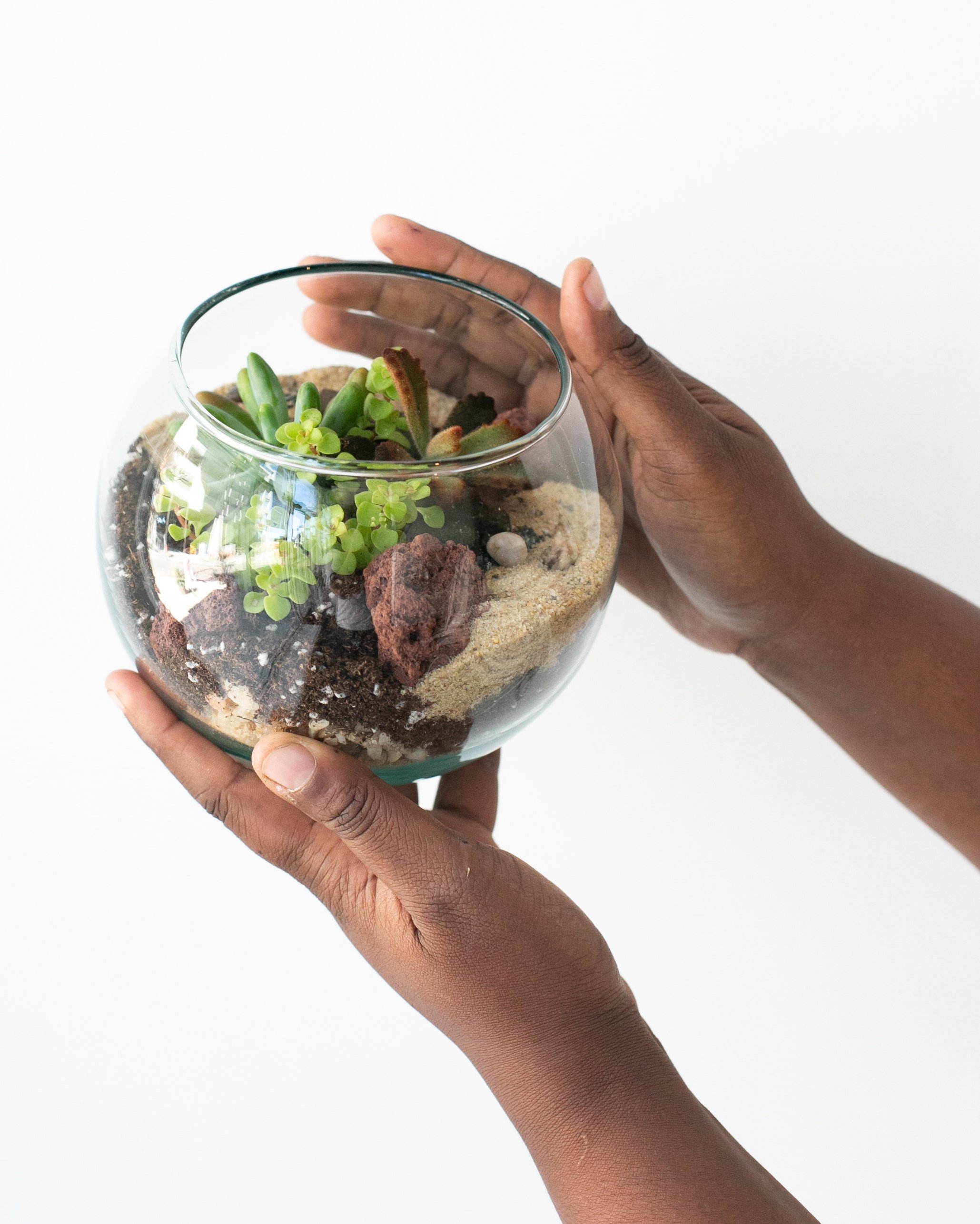 Unbox, Plant, Keep: A Live Succulent Terrarium Workshop image