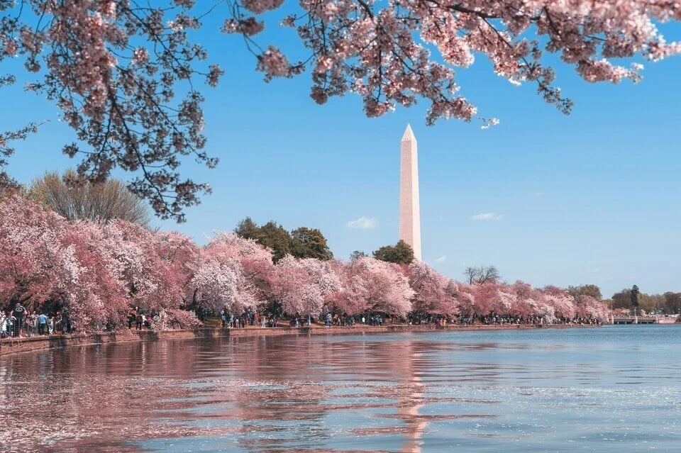 Washington D C skyline placeholder