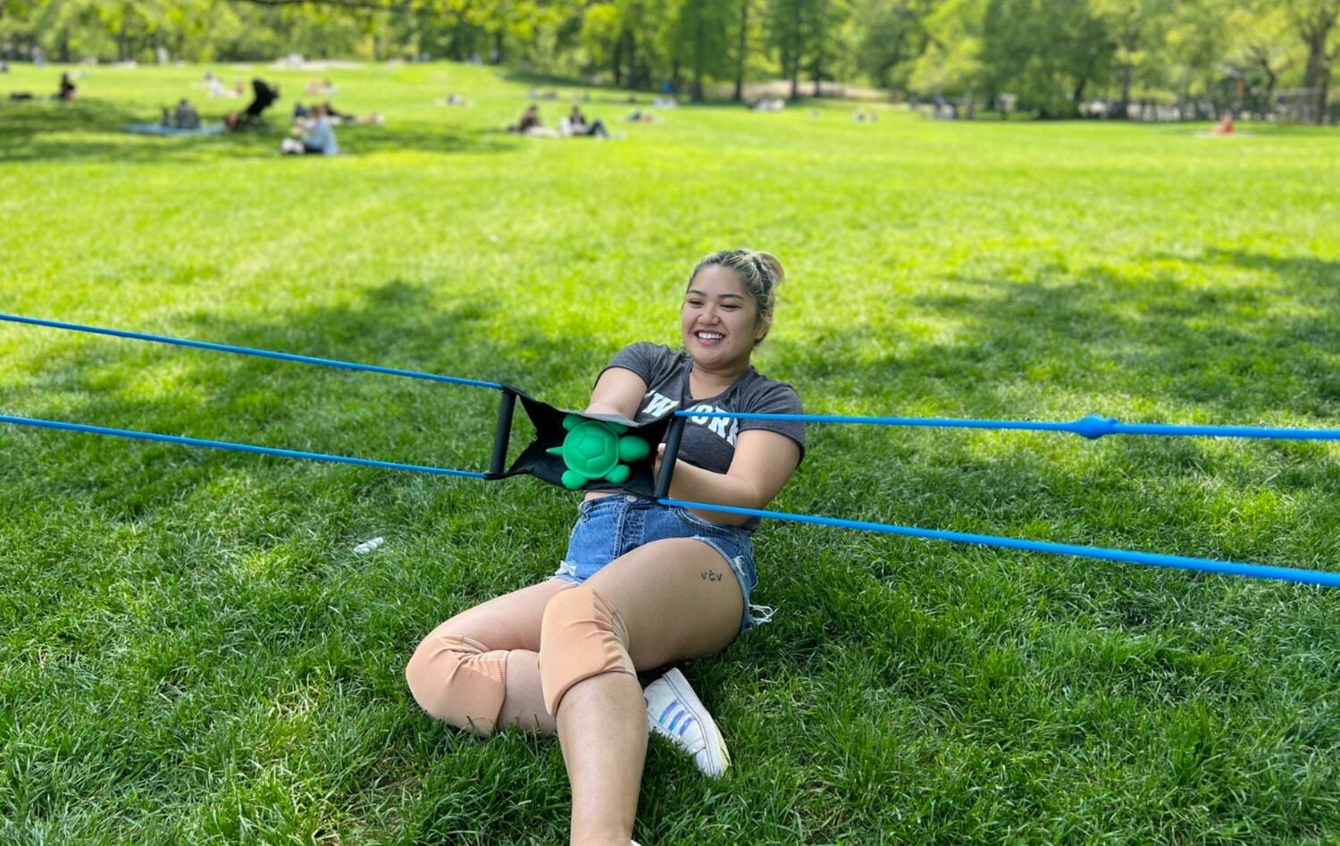 Field Day image