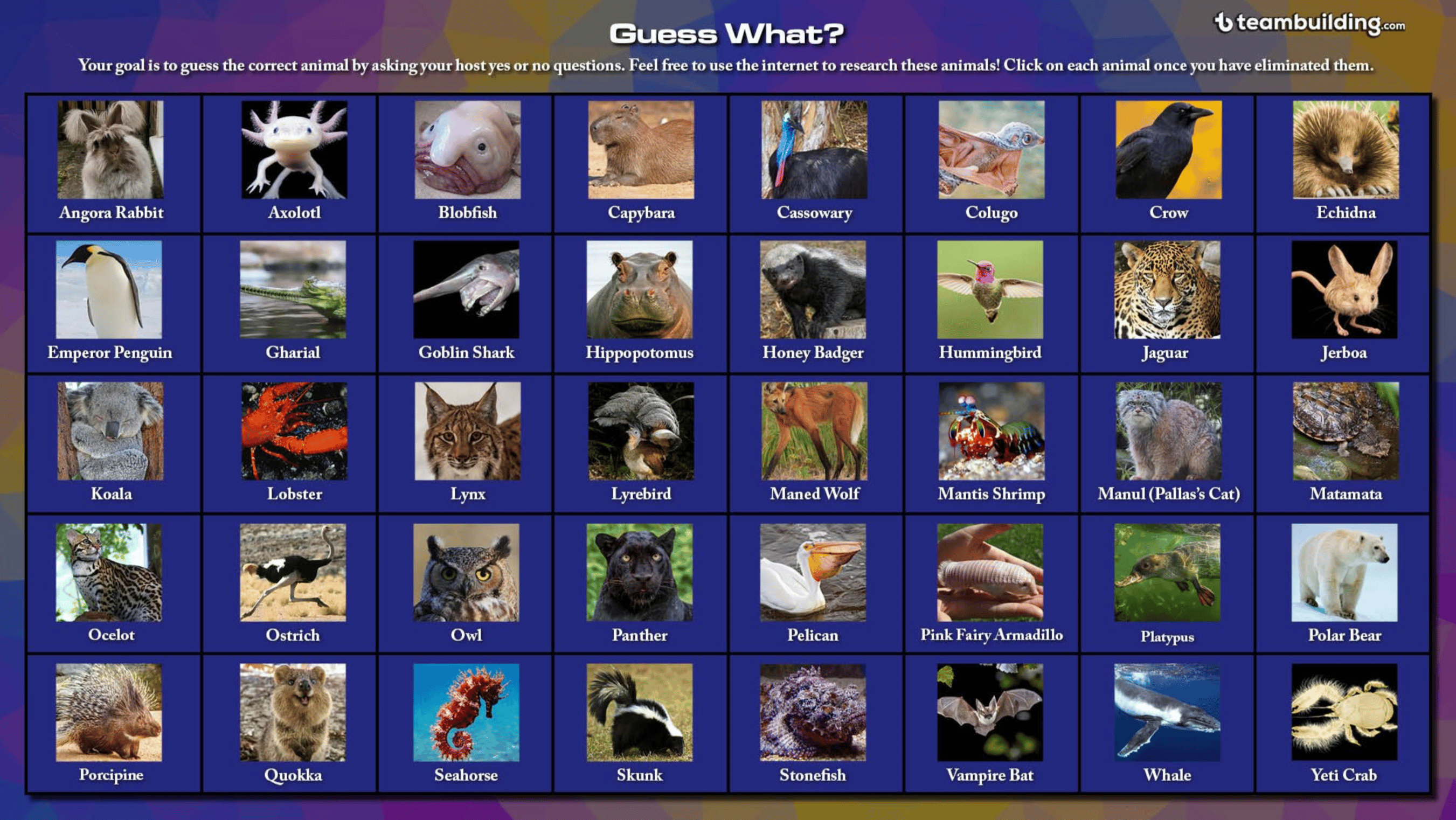 Build Your Own Game Show image