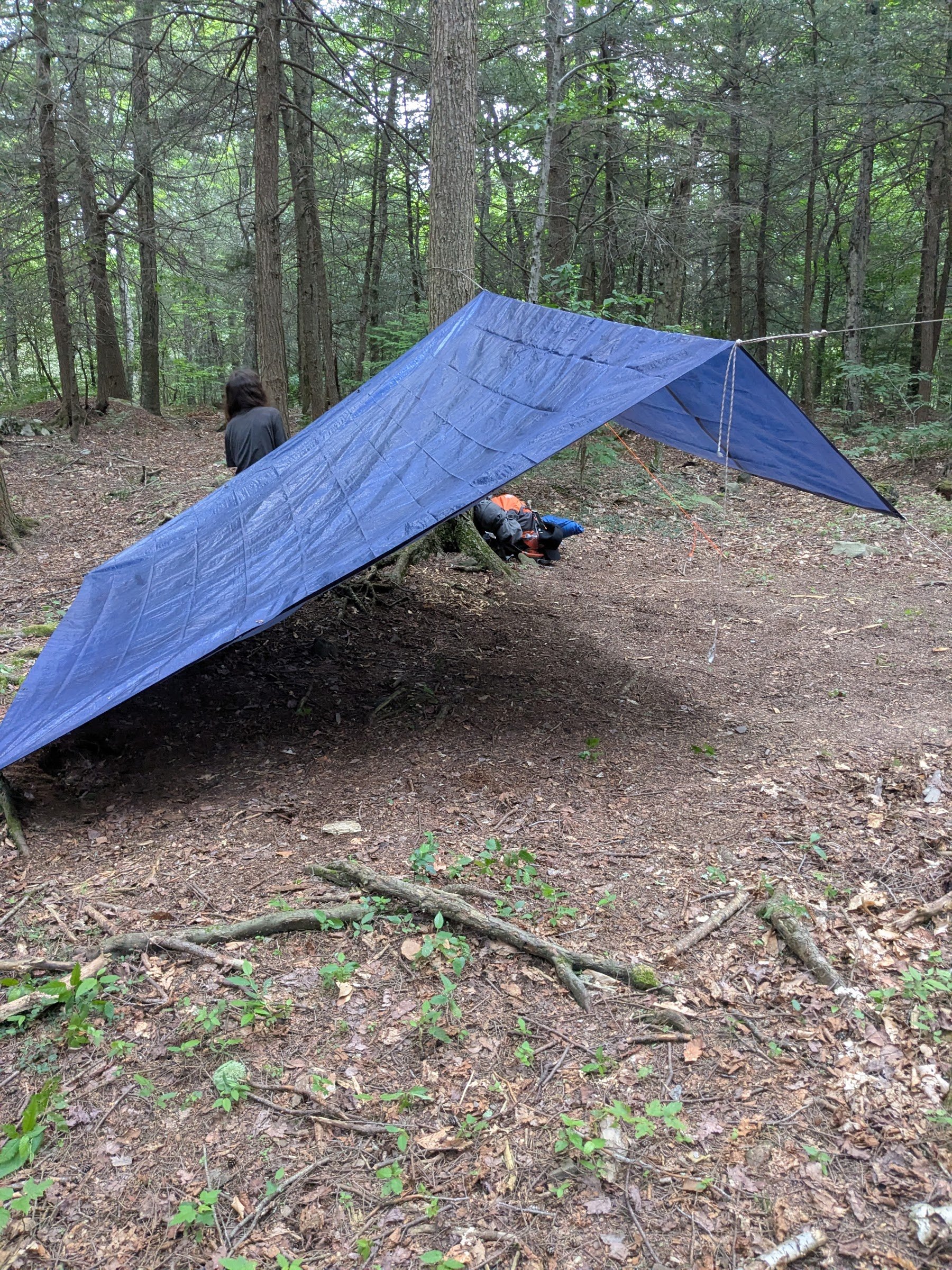 Wilderness Survival Leadership Day image #3