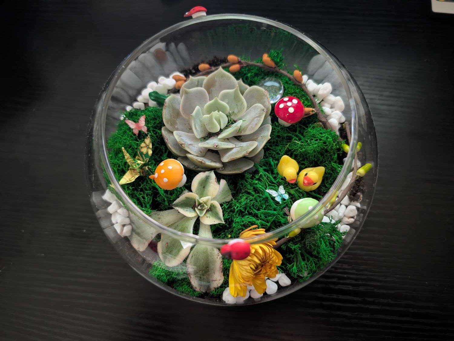 Succulent Terrarium Workshop NYC image