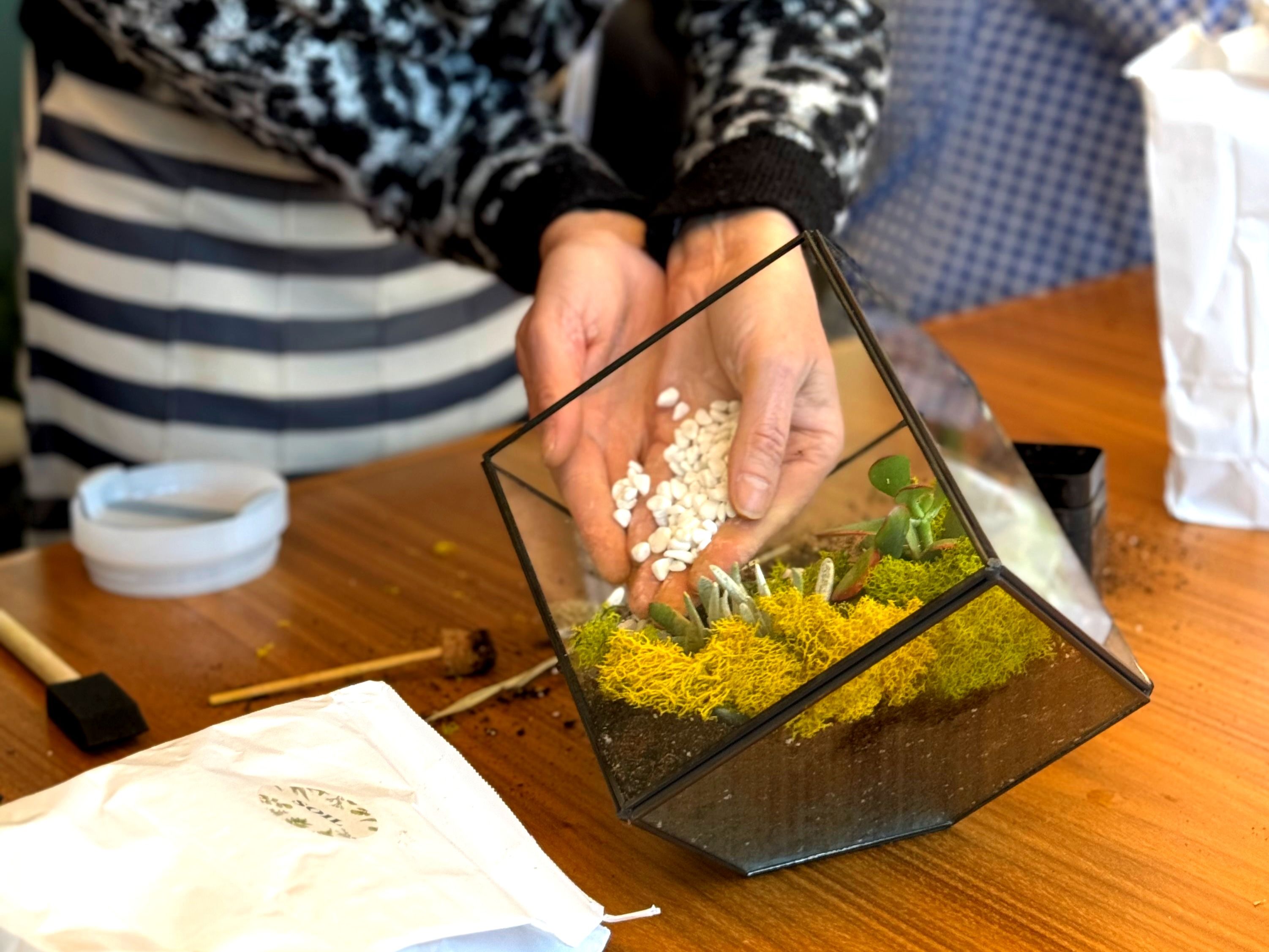 Succulent Terrarium Workshop NYC image