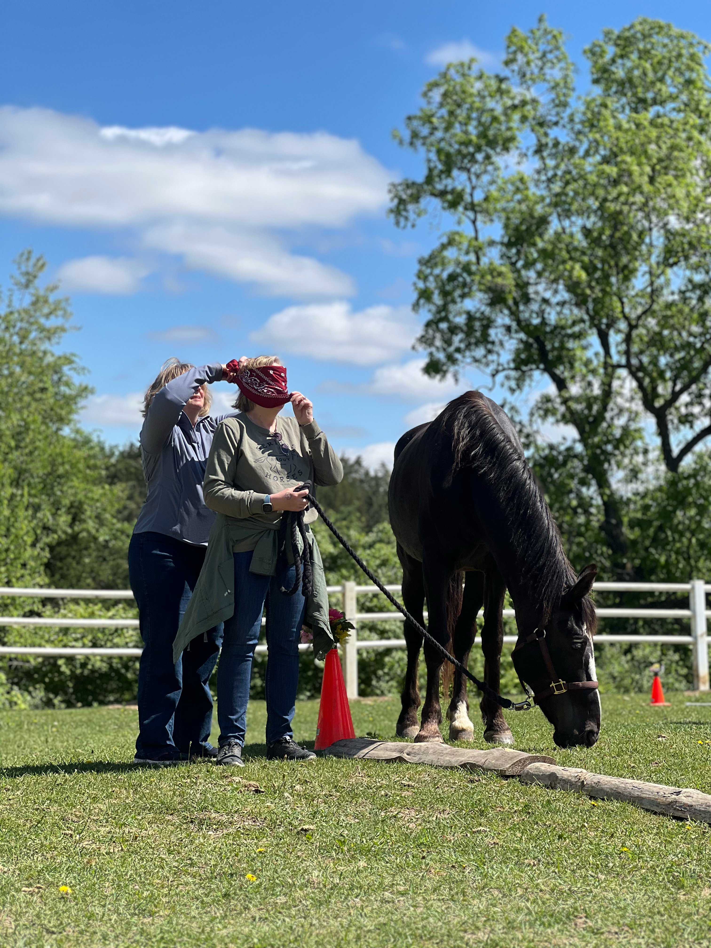 Team Building Foundations: Equine Workshop image