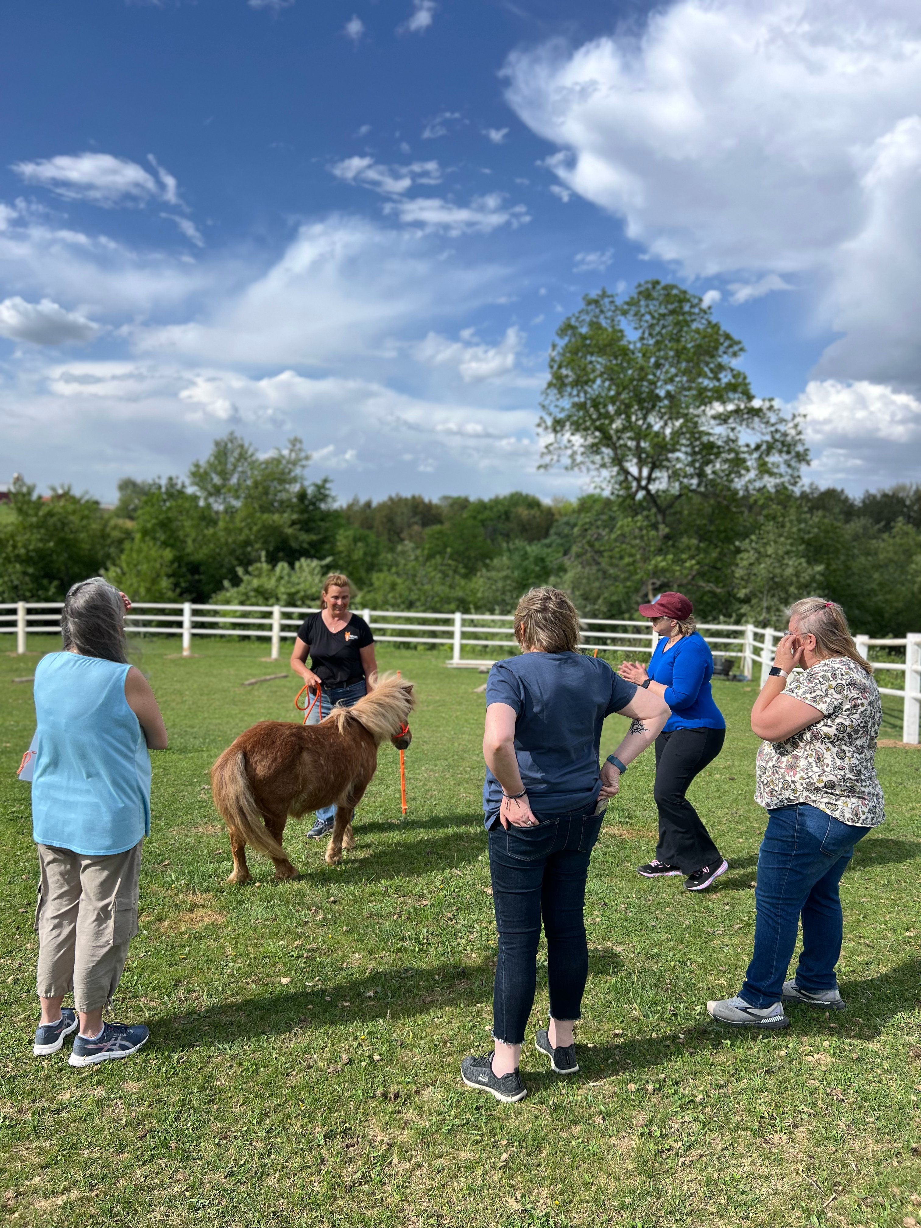 Team Building Foundations: Equine Workshop image