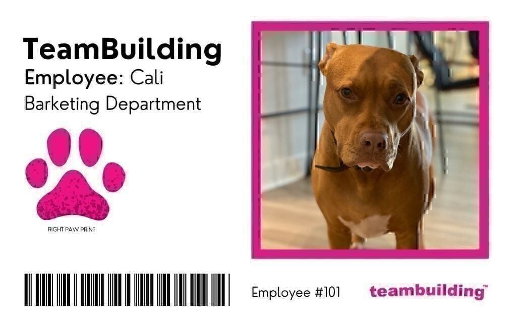 Pet ID Badge With a Dog that Says Barketing Department