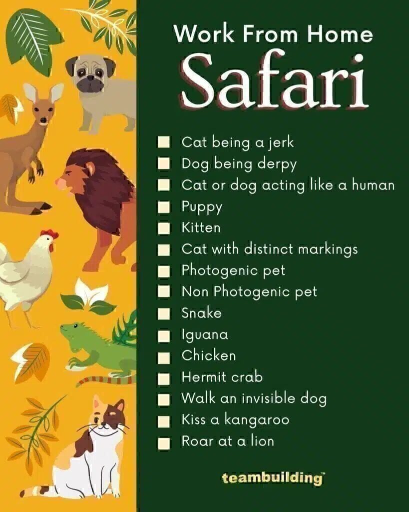 Work From Home Safari Template
