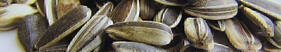 Sunflower Seeds